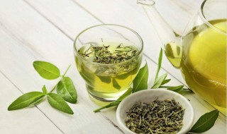 绿茶的好处 常喝绿茶的好处