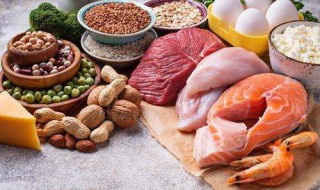 高蛋白的食物有哪些 高蛋白食物有哪些食物排行表