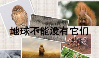 保护野生动物的宣传标语 呼吁人们保护野生动物的宣传标语