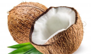 椰子开孔可以保存多久 椰子开孔能保存多久