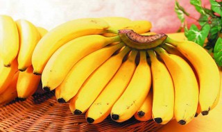 为什么煮香蕉是酸的 煮熟的香蕉为什么是酸的