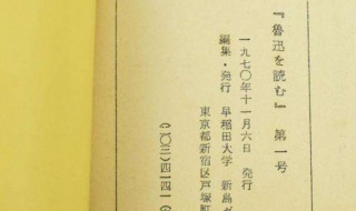 狂人日记主要内容 狂人日记主要内容300字