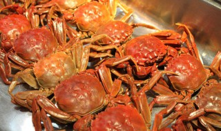 螃蟹搭配什么菜吃最好 螃蟹搭配什么菜吃最好呢