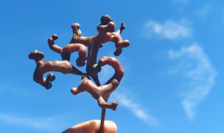 拐枣籽怎么种才能发芽（拐枣种子怎么种）