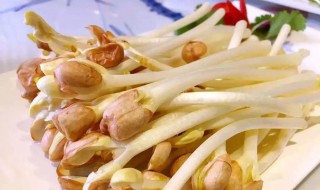 家里怎么做花生芽（在家做花生芽）