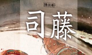 司藤秦放在一起了吗 司藤 秦放在一起