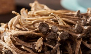 新鲜鹿茸菇要焯水吗 新鲜鹿茸菇要焯水吗怎么做