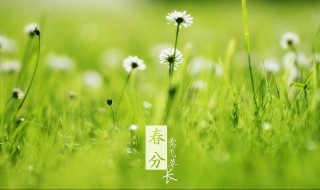 春分节气的特点和风俗 春分节气的特点和风俗饮食
