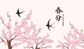 春分节气什么意思 二十四节气表顺口溜