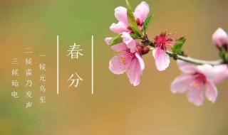 春分节气简介 春分节气介绍