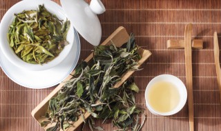 白茶的最佳冲泡方法和时间（白茶的正确冲泡及饮用方法）