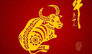精致的牛年贺卡怎么做（牛年贺卡怎样做）
