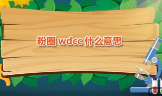 粉圈wdcc什么意思（饭圈cw是什么）