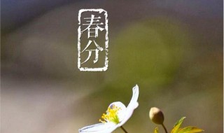 春分节气饮食 春分节气饮食特点