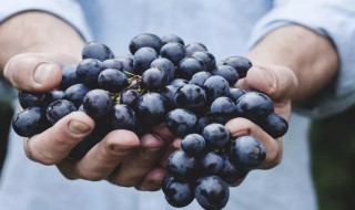 洗葡萄用面粉还是淀粉（洗葡萄用面粉么）