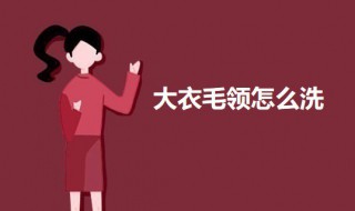 大衣毛领怎么洗（大衣毛领怎么洗不变形）