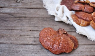 灵芝的正确食用方法（灵芝的正确食用方法与用量）