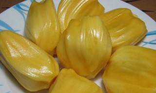 菠萝蜜浆怎么洗（菠萝蜜浆怎么洗掉?）