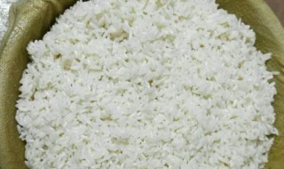隔水蒸米饭的小技巧（隔水米饭怎么蒸好吃）
