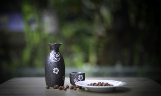 冰酒制作方法和配方 冰酒制作方法和配方视频