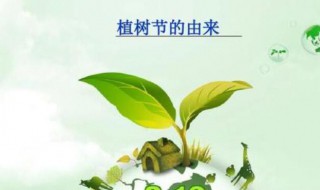 植树节的由来是什么 植树节的由来是什么 简介