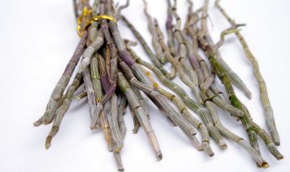 种植铁皮石斛的实用方法 如何种植铁皮石斛步骤