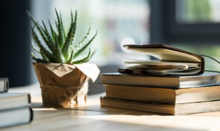 天阶夜色凉如水下一句（此花开尽更无花的全诗）