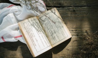 春风十里下一句 春风十里的后一句