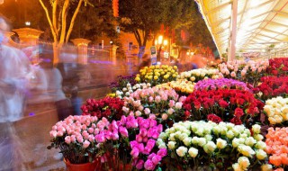 花卉常用繁殖方法(花卉常用繁殖方法有)