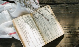 卜的组词（清的组词）