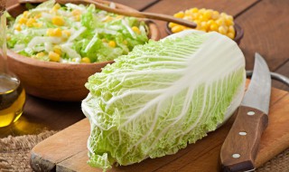 大白菜怎么做好吃菜谱（大白菜怎么做好吃菜谱 视频）