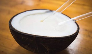 椰浆的用法 罐装椰浆怎么食用