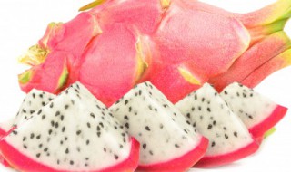 火龙果插枝种植方法（火龙果插枝种植方法图解）