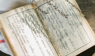 迎面的拼音（阿姨的拼音）