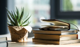 家喻户習名词解释 家喻户晓在字典中的意思