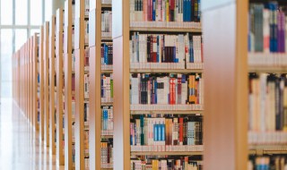 鸡犬不惊名词解释（鸡犬不惊名词解释）