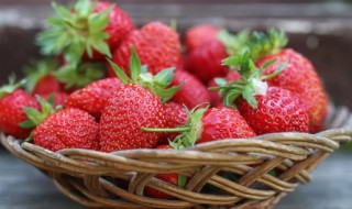 10月份移栽草莓可以成活吗（10月份移栽草莓可以成活吗视频）