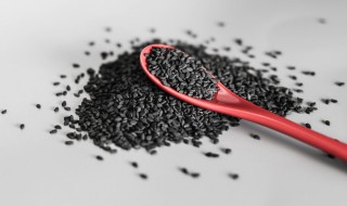 哪些人不能吃黑芝麻（黑芝麻怎么吃 常见的七种吃法）