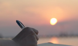 买笑追欢名词解释（买笑追欢 释义）