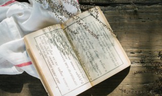 九死一生名词解释(九死一生名词解释是什么)