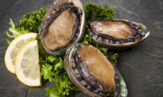 鲍鱼竹荪汤做法（鲍鱼竹荪汤的做法）