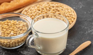 豆乳饮料做法 豆乳饮料做法大全