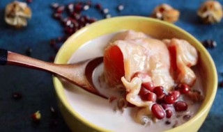 红豆炖花胶做法（红豆炖花胶怎么做）