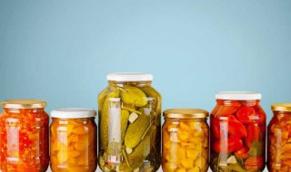 蔬菜罐头的种类有哪些(果蔬罐头的种类)