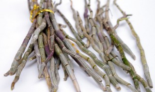 石斛兰的常见种类有哪些(石斛兰的种类有多少)