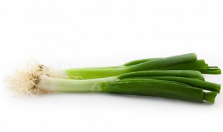 大葱的保存方法介绍（大葱如何保存方法）