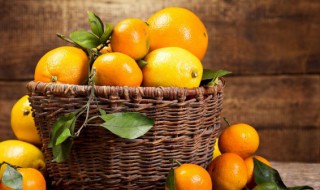 橘子的保存方法（橘子的保存方法小班教案）