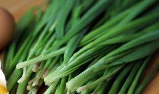 如何长期保存韭菜(韭菜怎样长期保存)