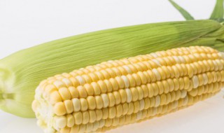 红萝卜玉米瘦肉汤做法（红萝卜玉米瘦肉汤做法视频）