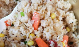 猪油拌饭做法（猪油拌饭的做法黄磊）